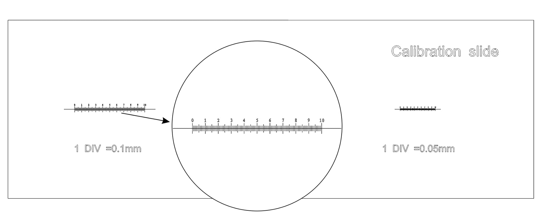 Vetrino di calibrazione CS3 MAGUS (0,01/0,05/0,1)