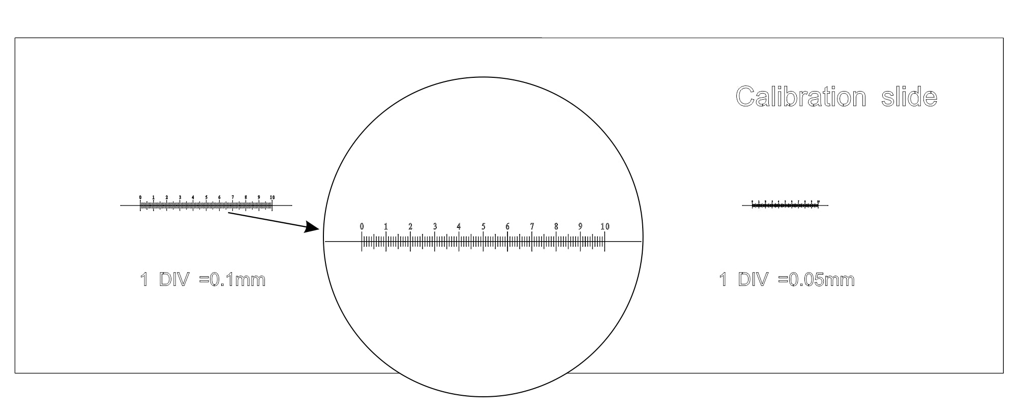 Vetrino di calibrazione CS3 MAGUS (0,01/0,05/0,1)
