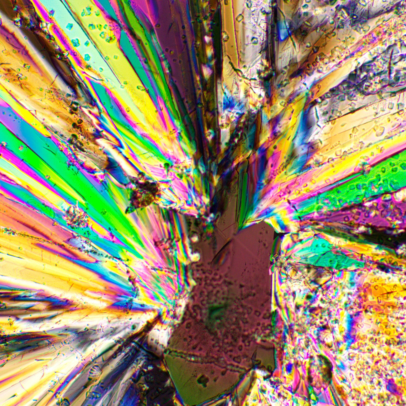 Set polarizzatore/analizzatore MAGUS SPD3