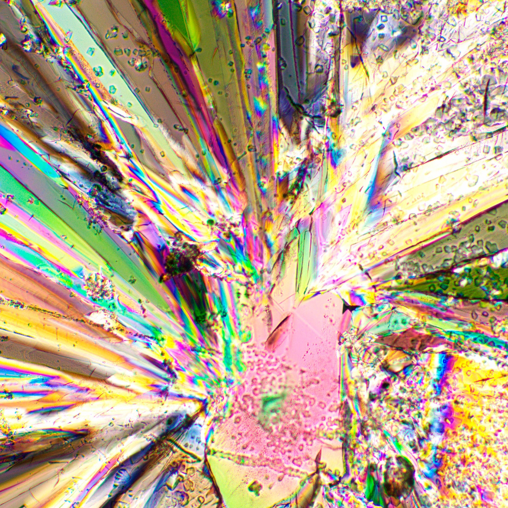 Set polarizzatore/analizzatore MAGUS SPD2