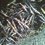 Set polarizzatore/analizzatore MAGUS SPD2