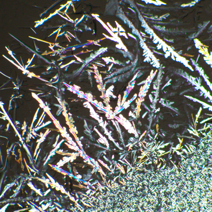 Set polarizzatore/analizzatore MAGUS SPD2