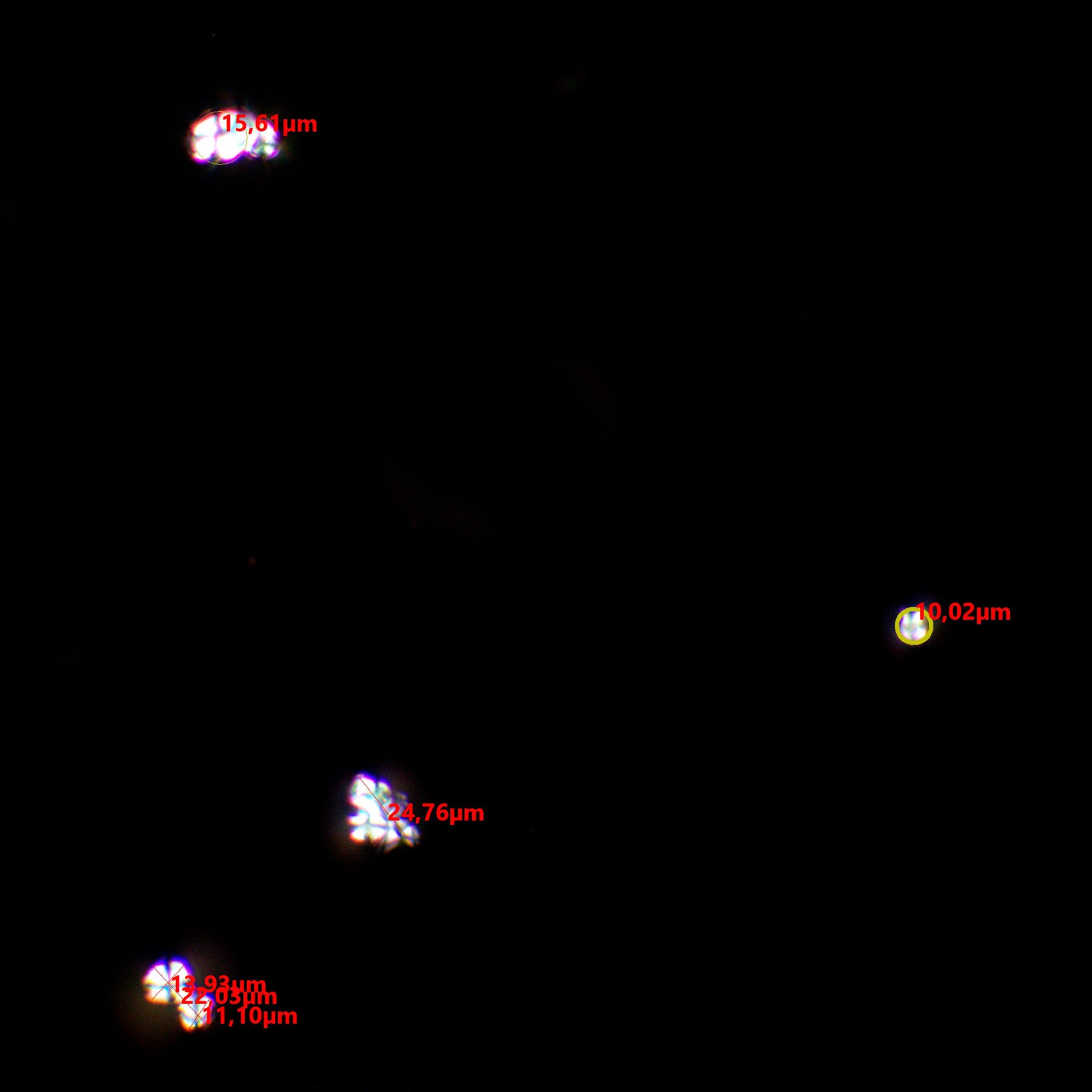 Set polarizzatore/analizzatore MAGUS SPD3