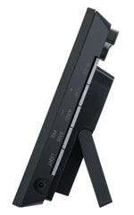 Stazione meteo Levenhuk Wezzer PRO LP310