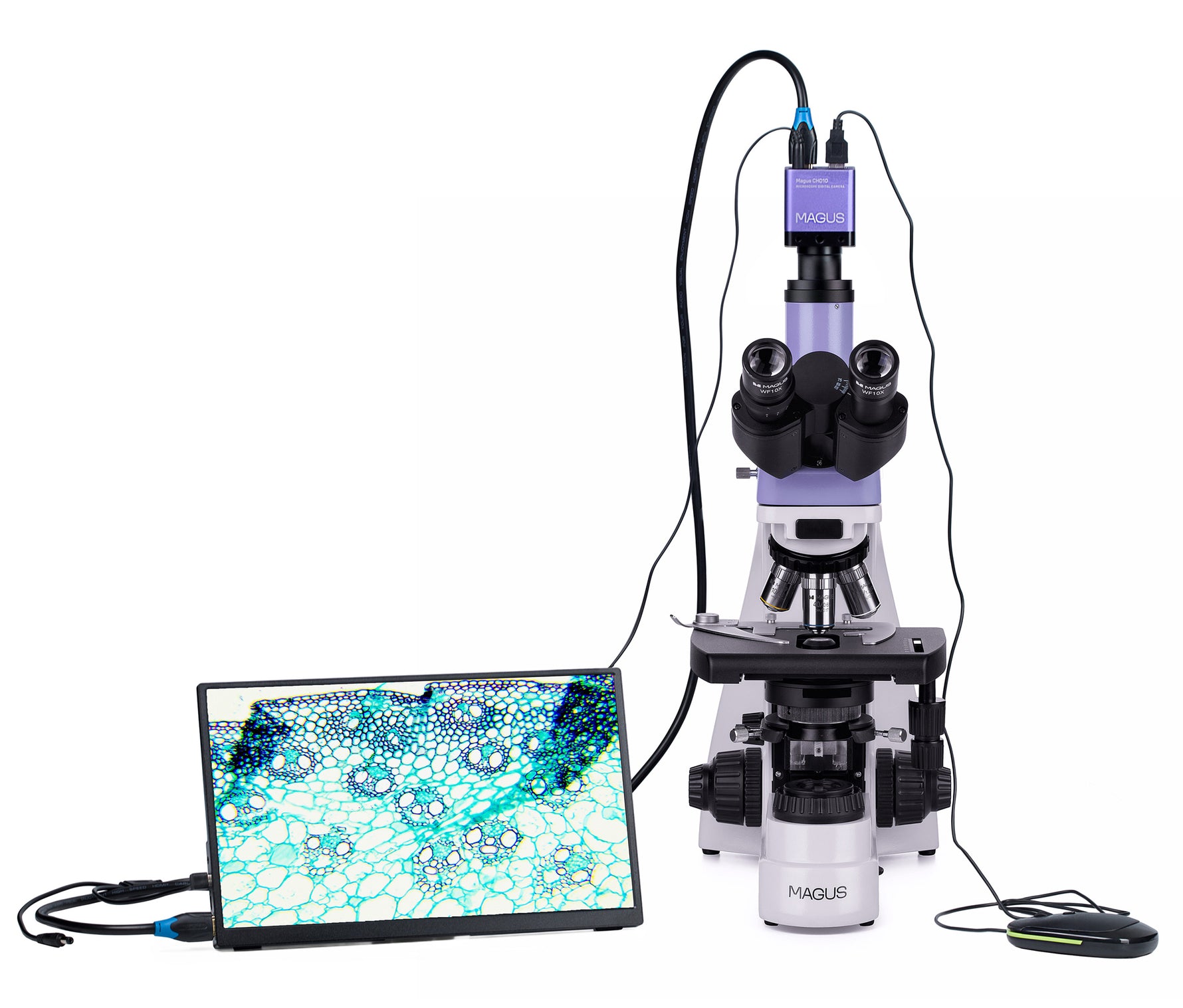 Microscopio biologico MAGUS Bio D230T LCD