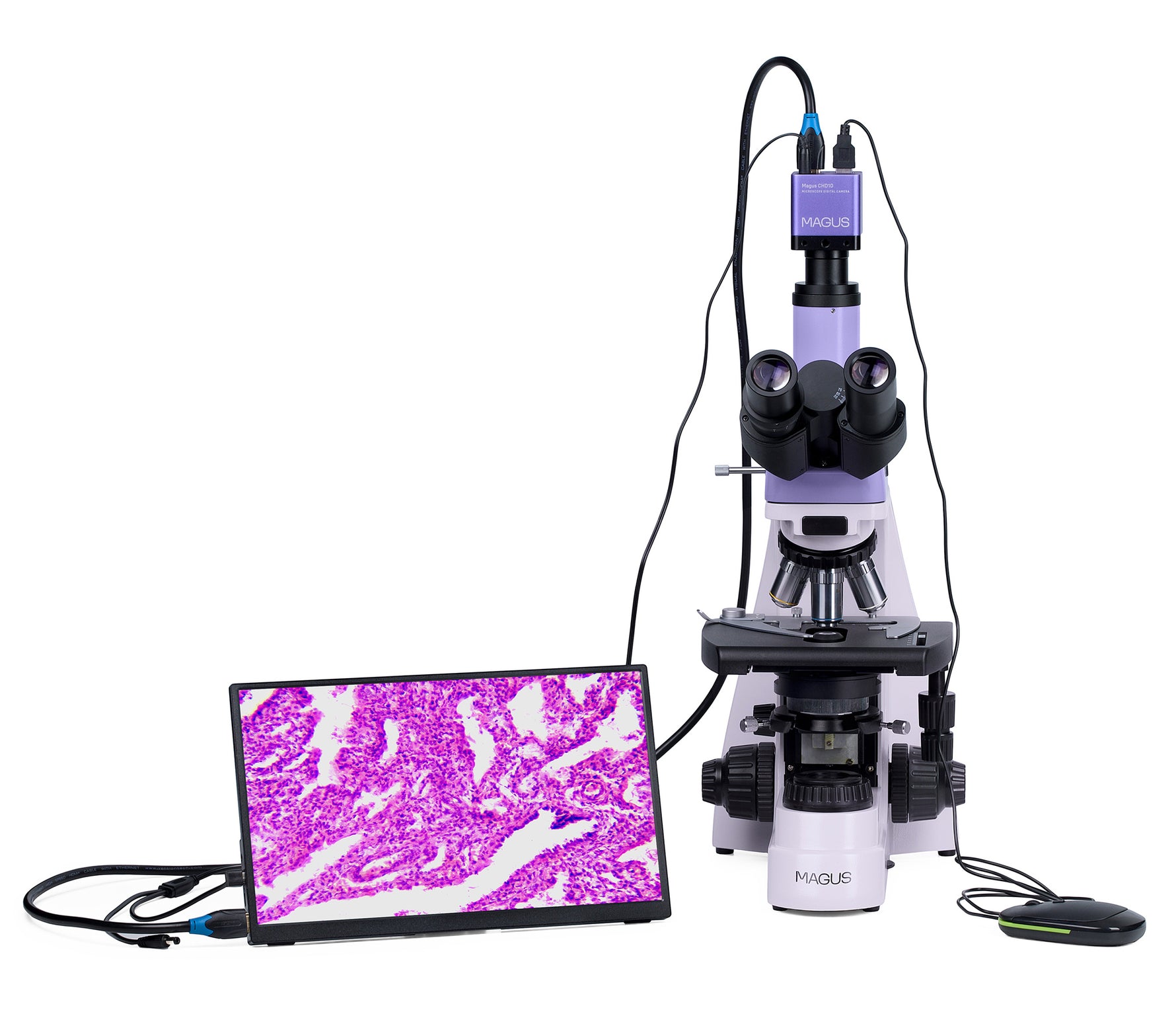 Microscopio biologico digitale MAGUS Bio D250T LCD