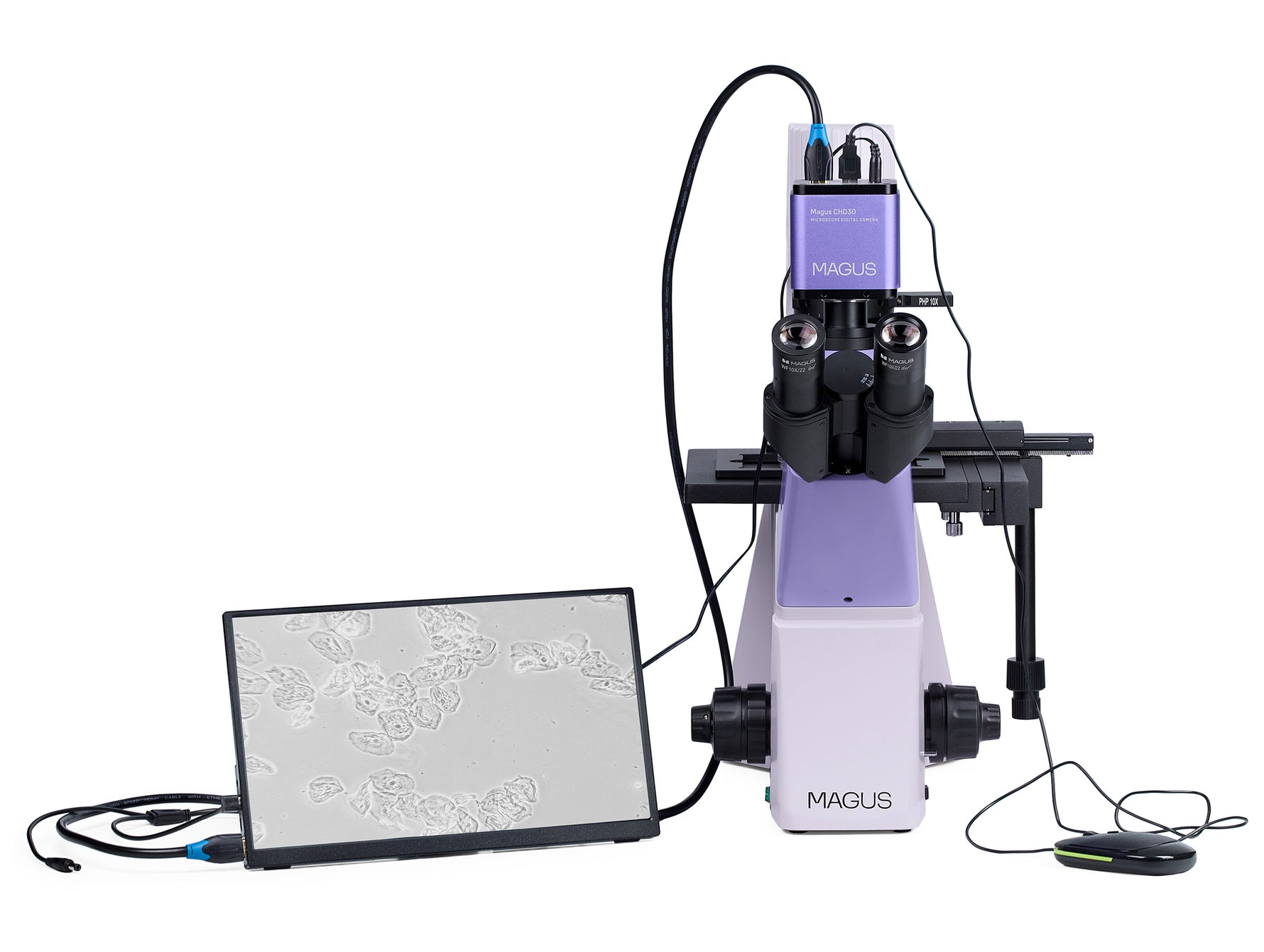 Microscopio biologico invertito digitale MAGUS Bio VD300 LCD