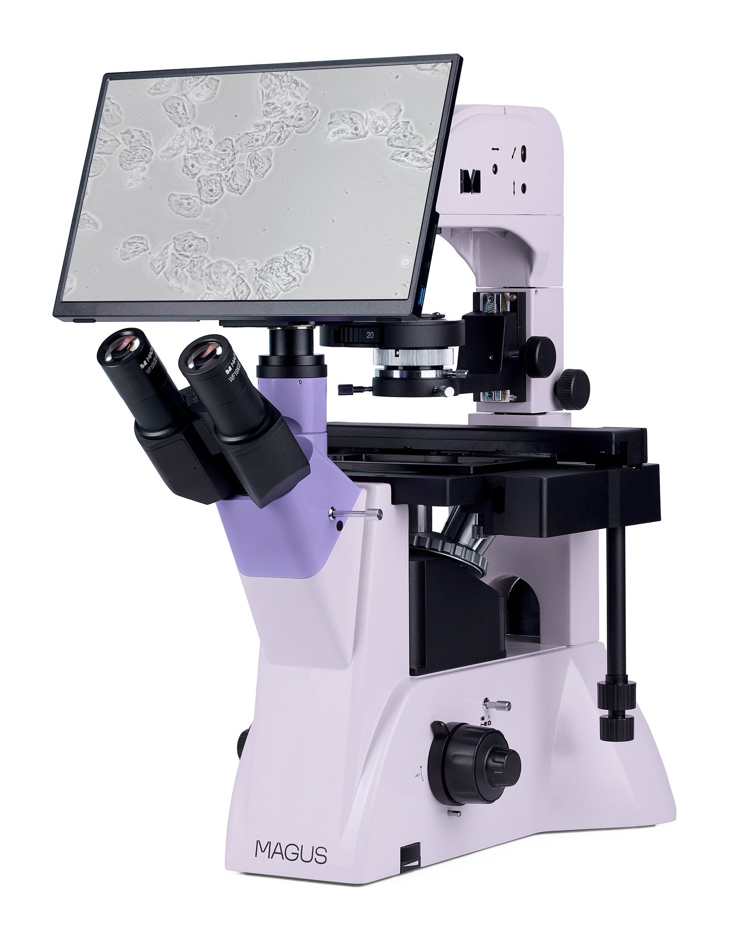 Microscopio biologico invertito digitale MAGUS Bio VD350 LCD