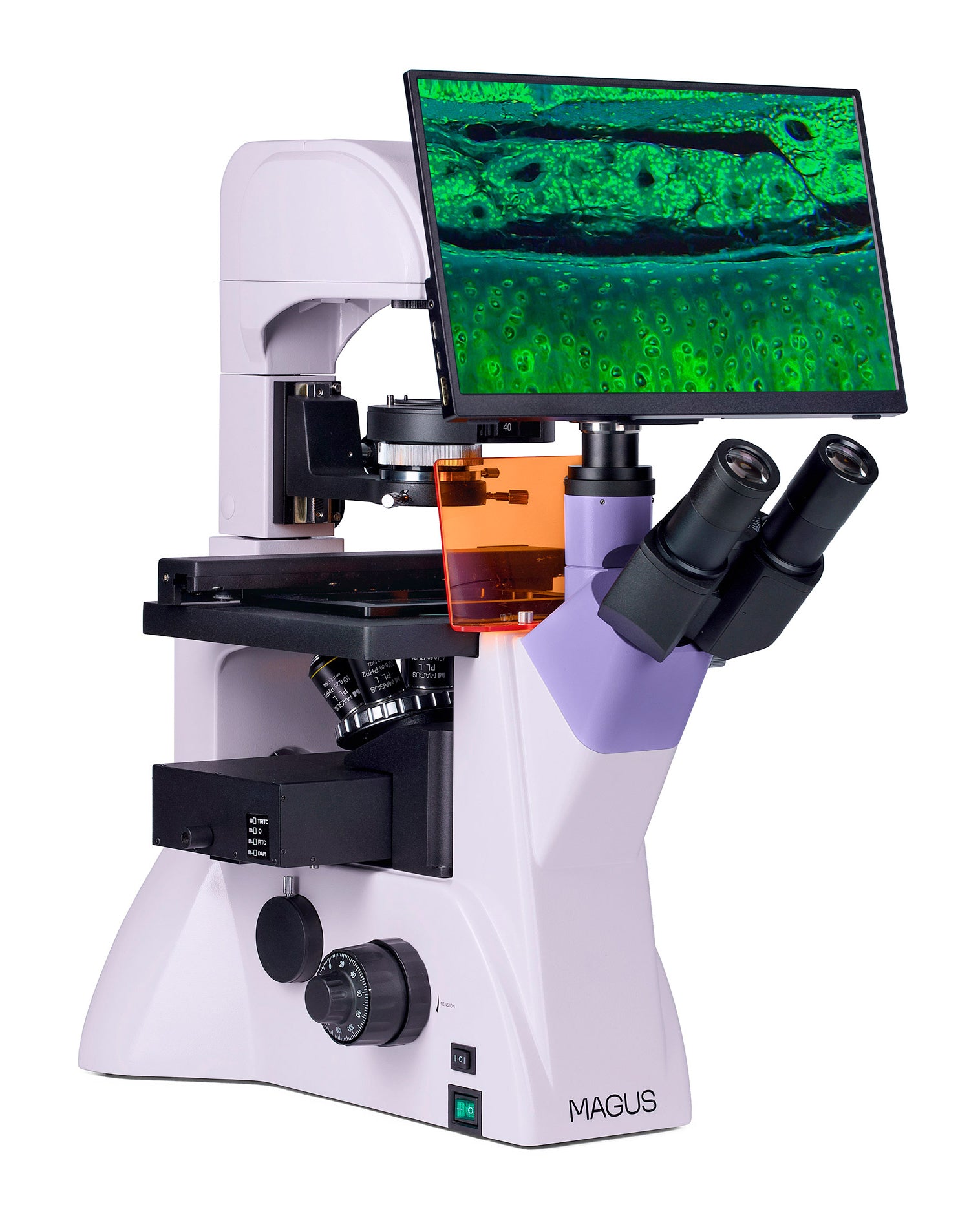Microscopio a fluorescenza invertito digitale MAGUS Lum VD500L LCD