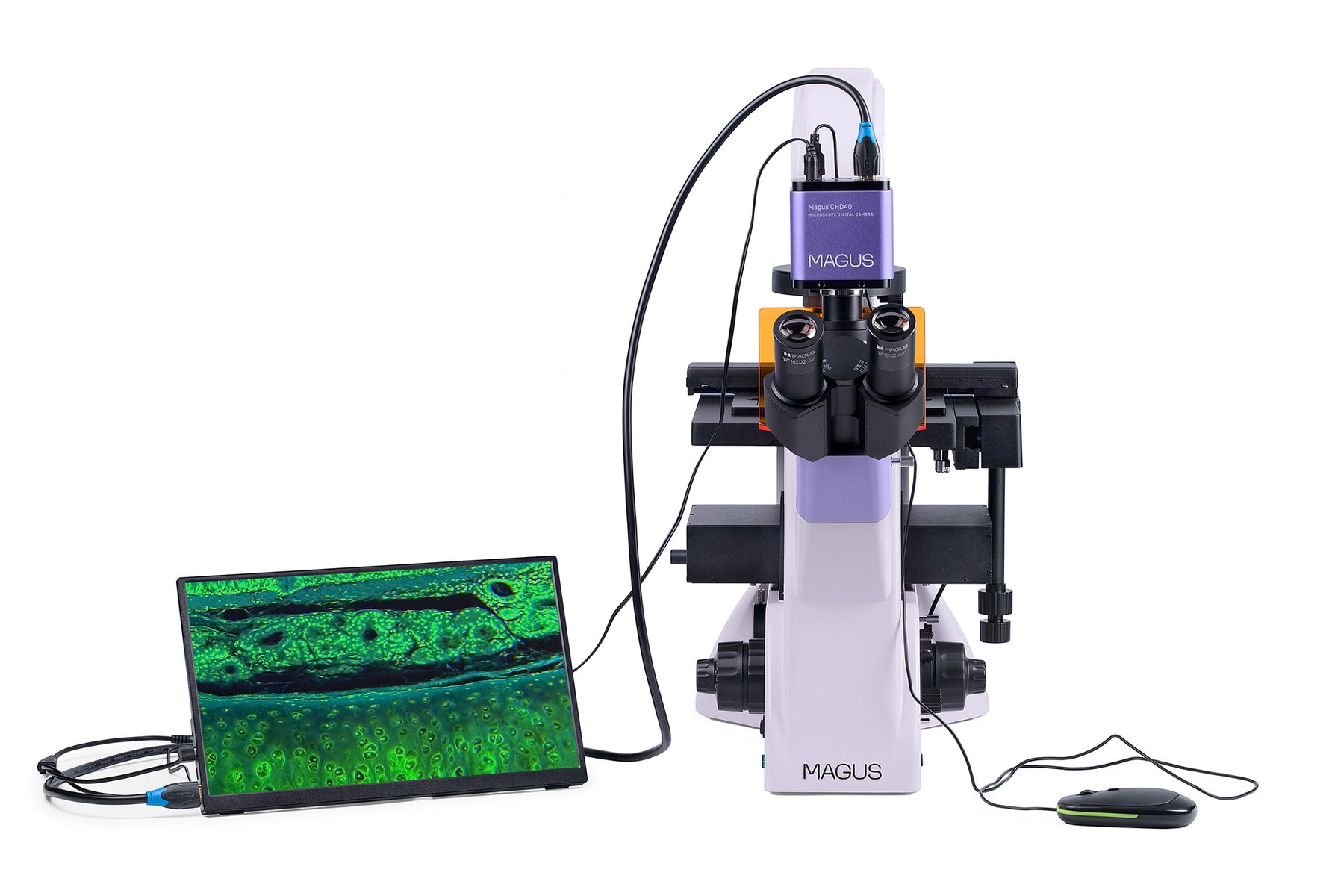 Microscopio a fluorescenza invertito digitale MAGUS Lum VD500L LCD