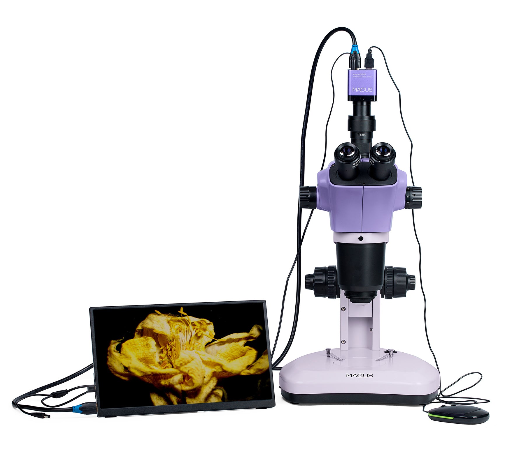 Microscopio stereoscopico digitale MAGUS Stereo D9T LCD