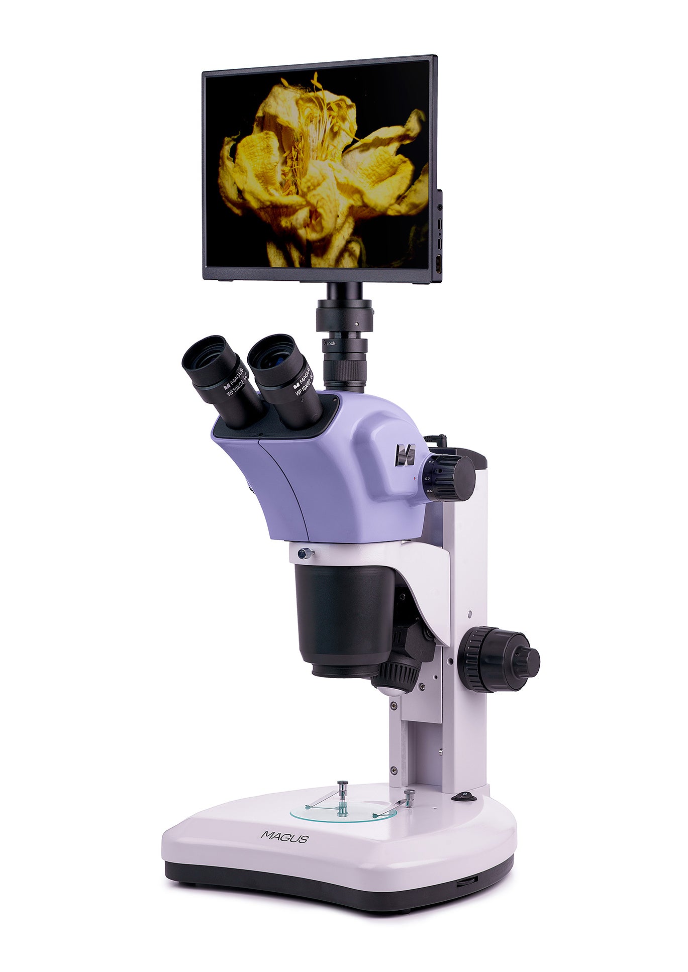 Microscopio stereoscopico digitale MAGUS Stereo D9T LCD