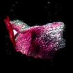 Microscopio stereoscopico MAGUS Stereo A18T