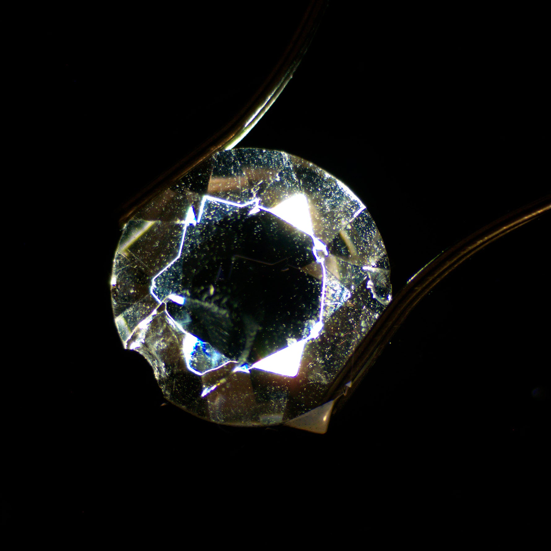 Condensatore per campo scuro MAGUS DFC1 per stereomicroscopi