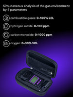 Rilevatore di gas Ermenrich NG60