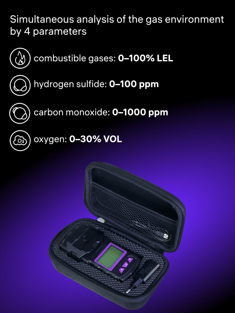 Rilevatore di gas Ermenrich NG60