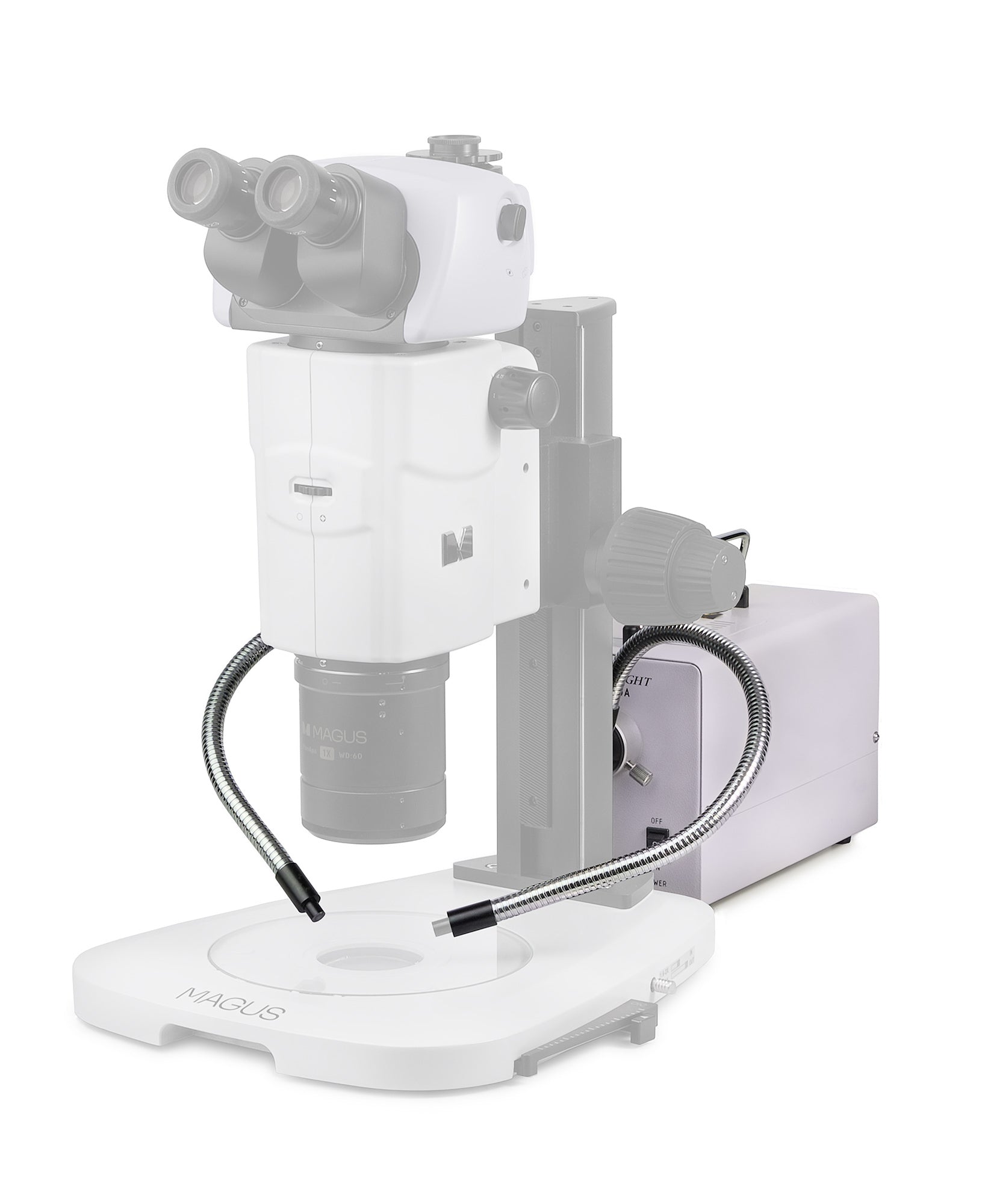 Luce fredda con doppia guida luminosa MAGUS CLI18T