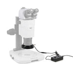 Luce ad anello MAGUS LED RL18T