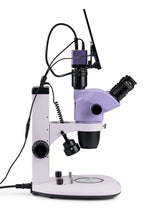 Microscopio stereoscopico digitale MAGUS Stereo D7T LCD BASE