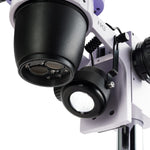 Microscopio stereoscopico digitale MAGUS Stereo D8T PLUS