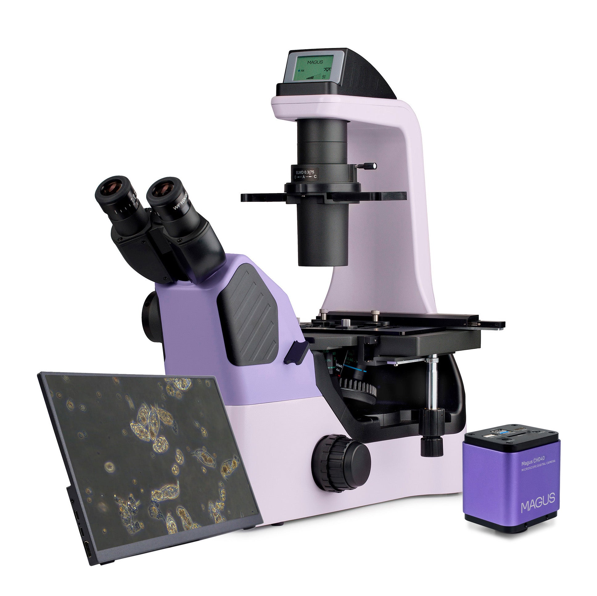 Microscopio biologico digitale invertito MAGUS Bio VD360 LCD