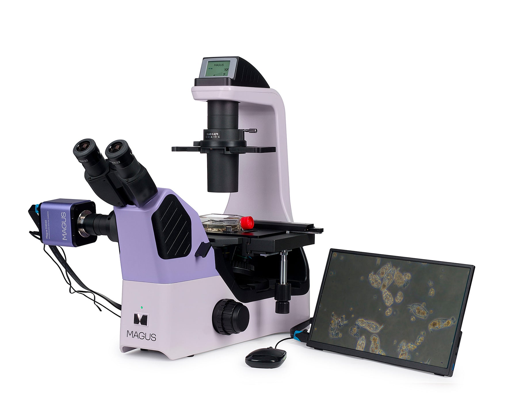 Microscopio biologico digitale invertito MAGUS Bio VD360 LCD