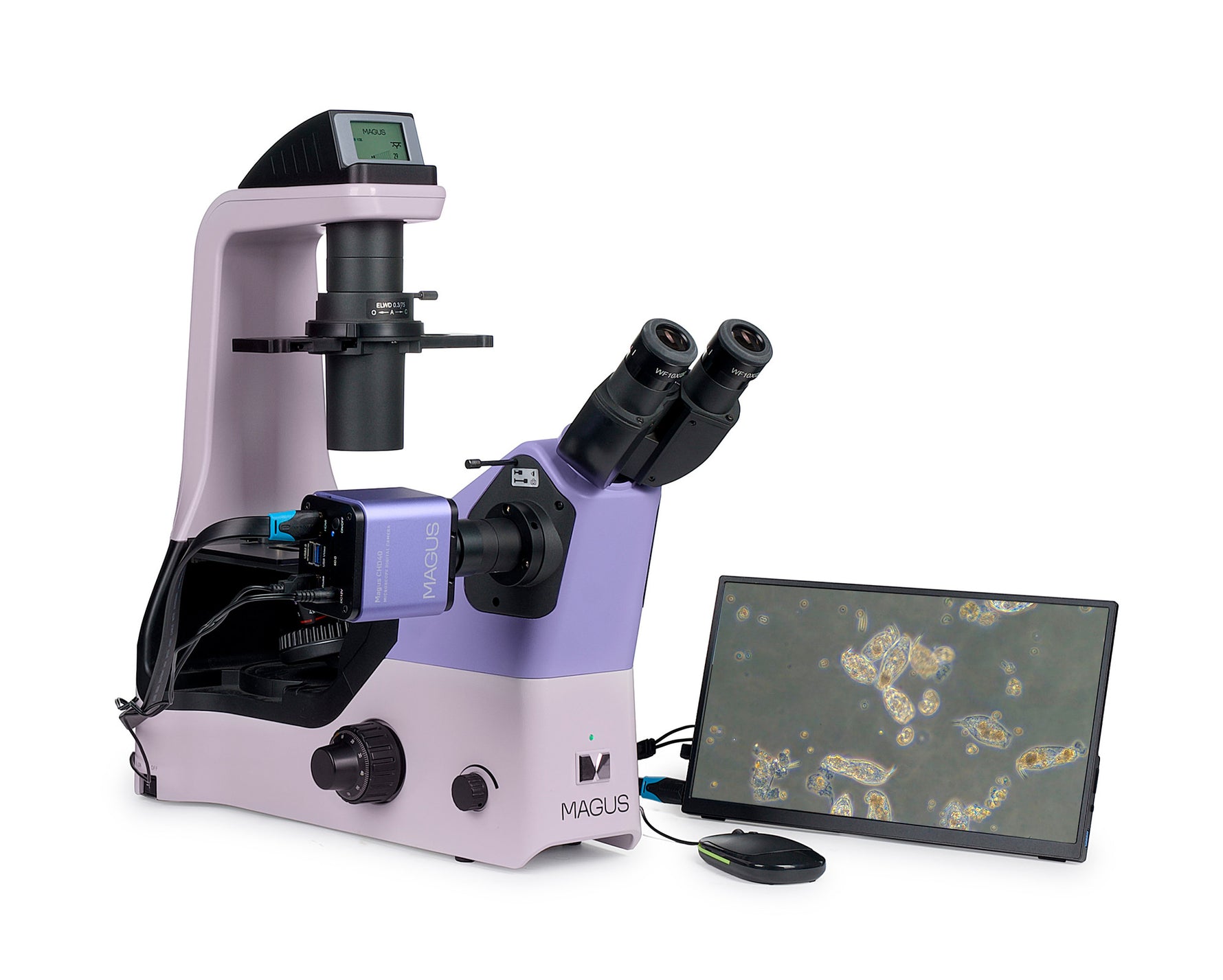 Microscopio biologico digitale invertito MAGUS Bio VD360 LCD