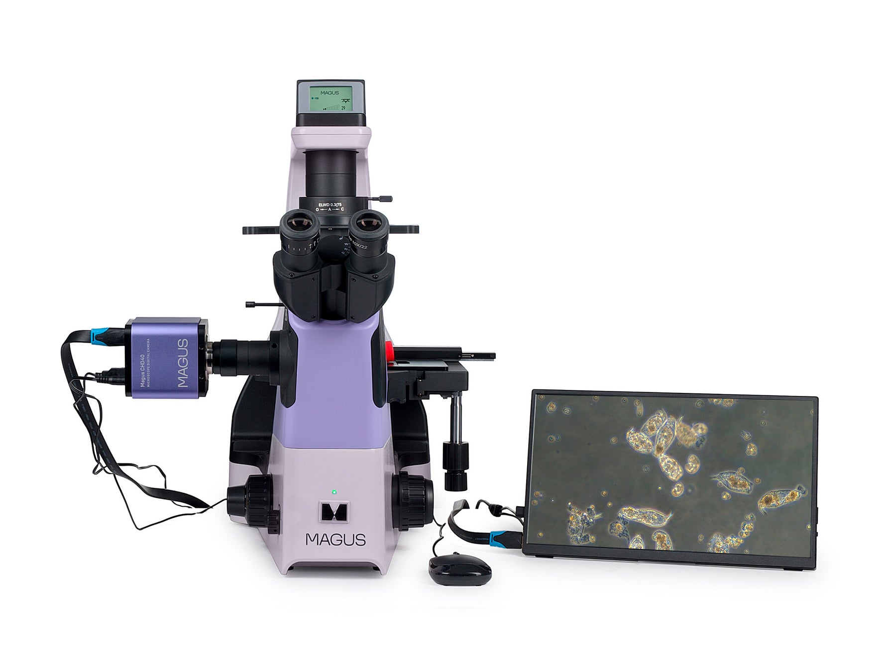 Microscopio biologico digitale invertito MAGUS Bio VD360 LCD