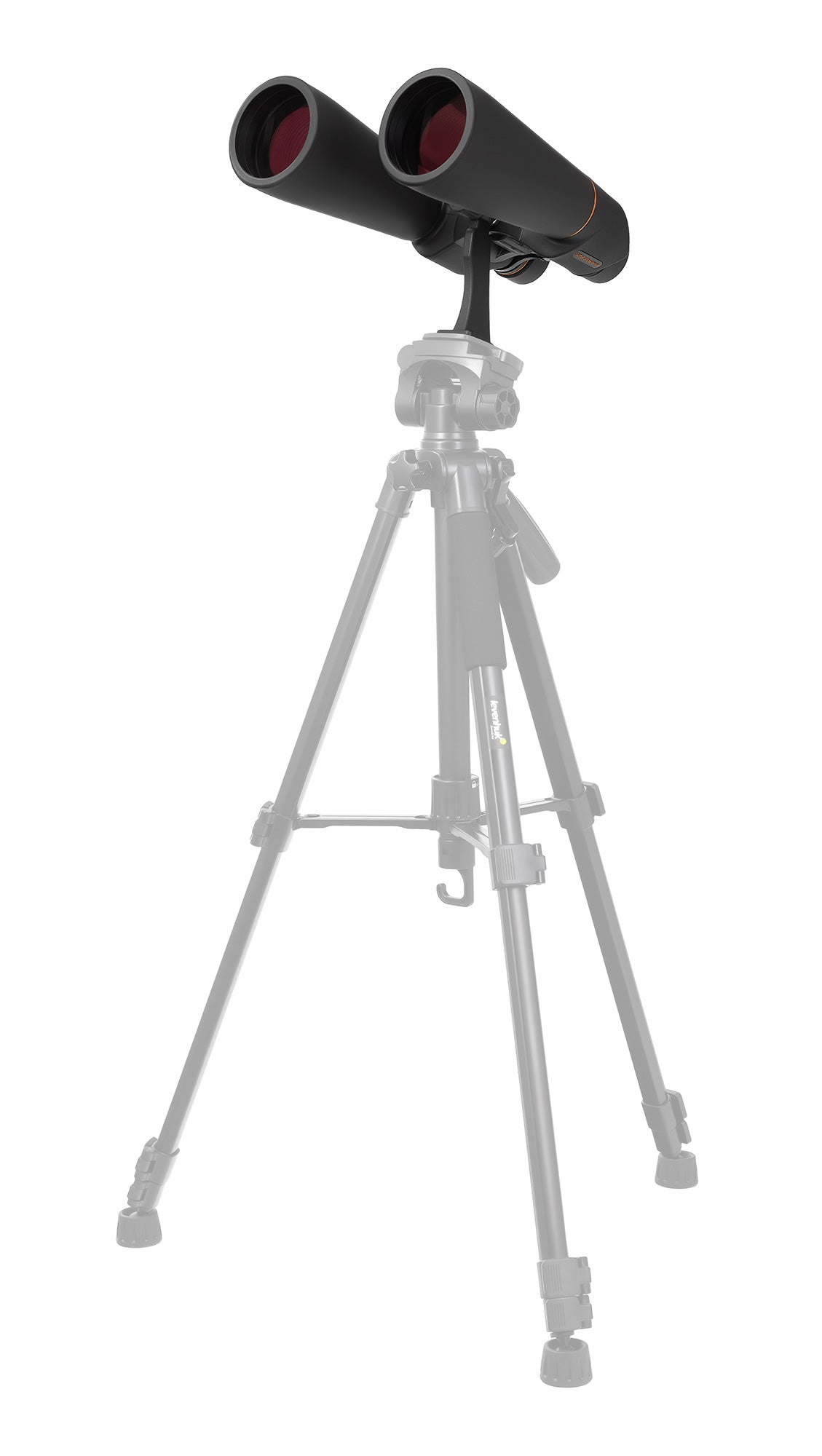 Binocolo Levenhuk Bruno PLUS 25x70