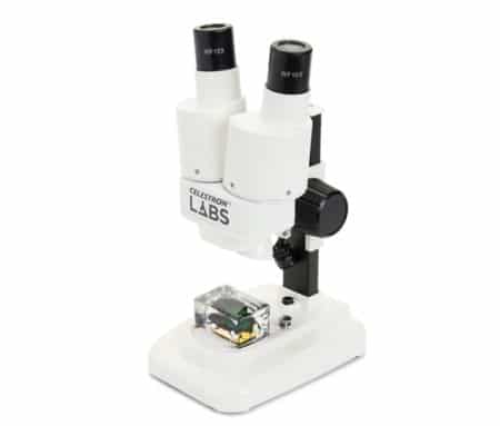 Microscopio Stereo LABS S20