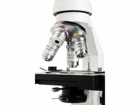 Microscopio LABS CM2000-CF