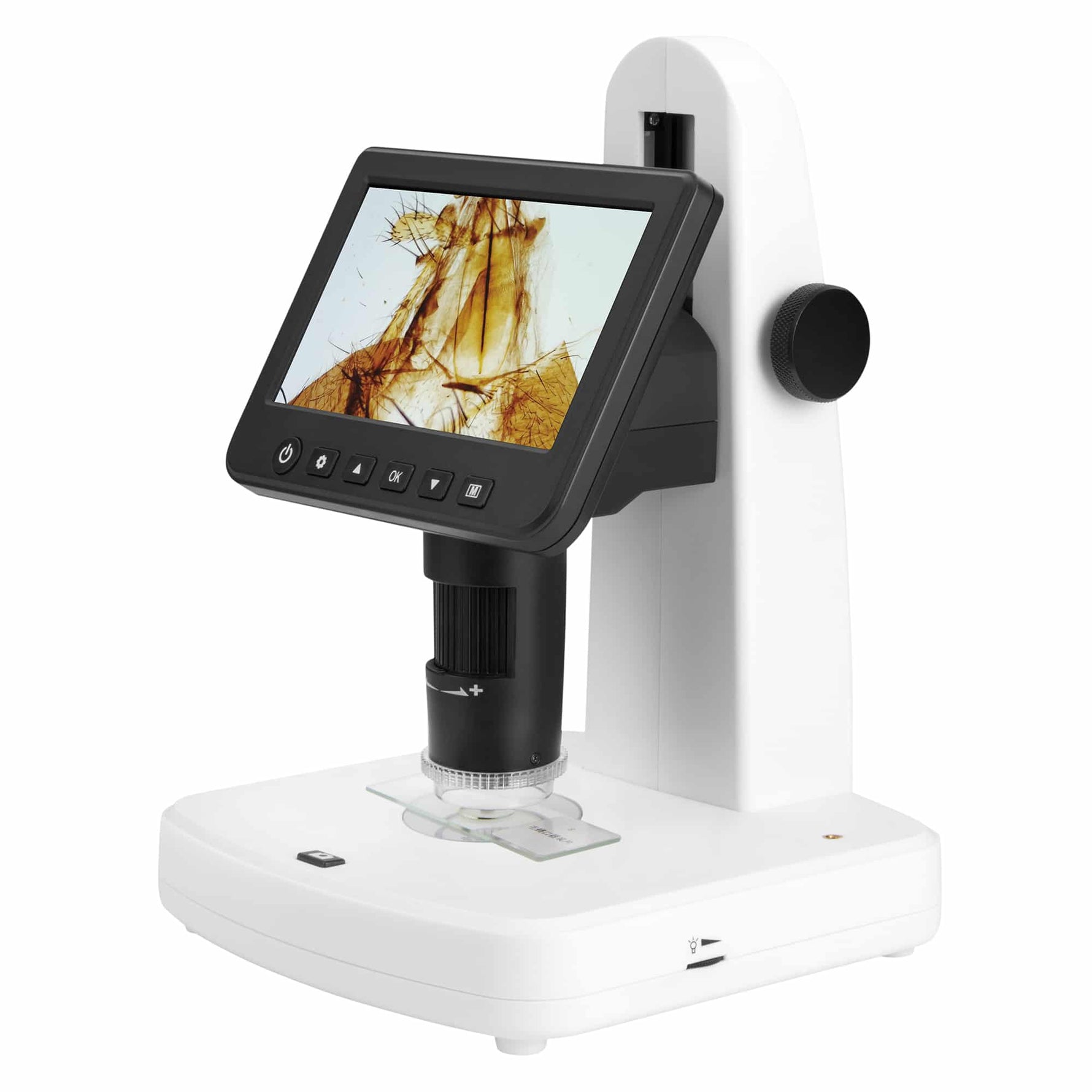 Microscopio Digitale HOOKE LCD5