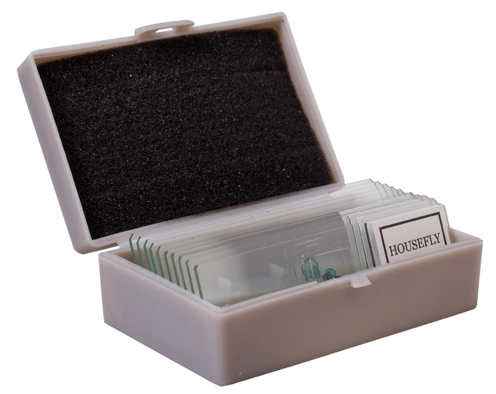 Kit per esperimenti Levenhuk K50