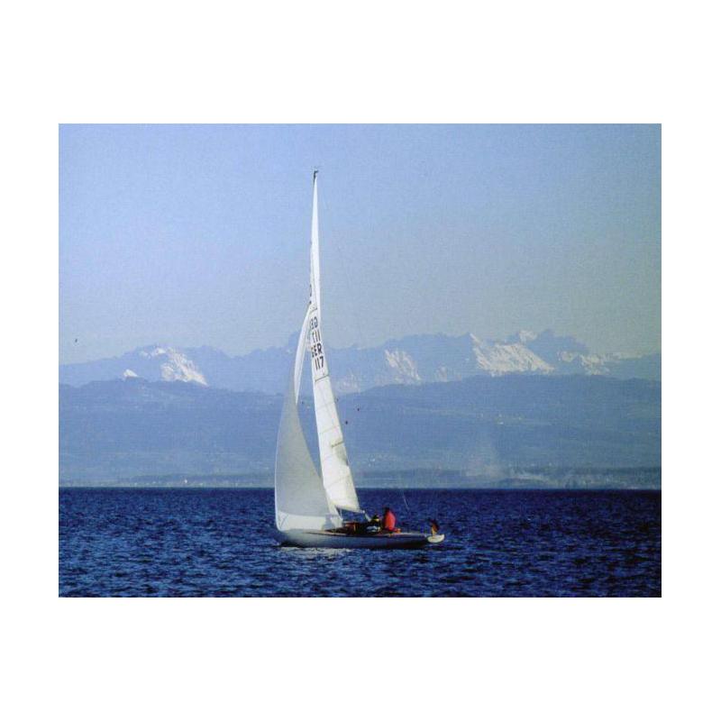 Binocolo Blackstar 10x25