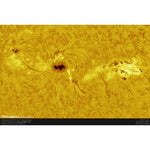 PLAYER ONE APOLLO-M CAMERA (IMX174) MONO