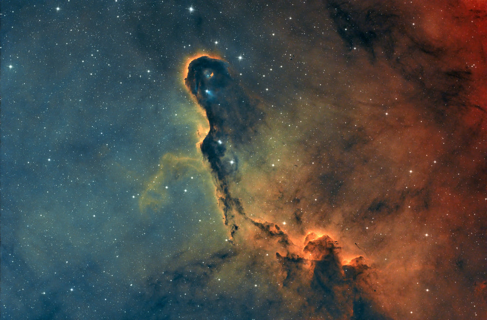 IC1396 The Elephant's Trunk Nebula