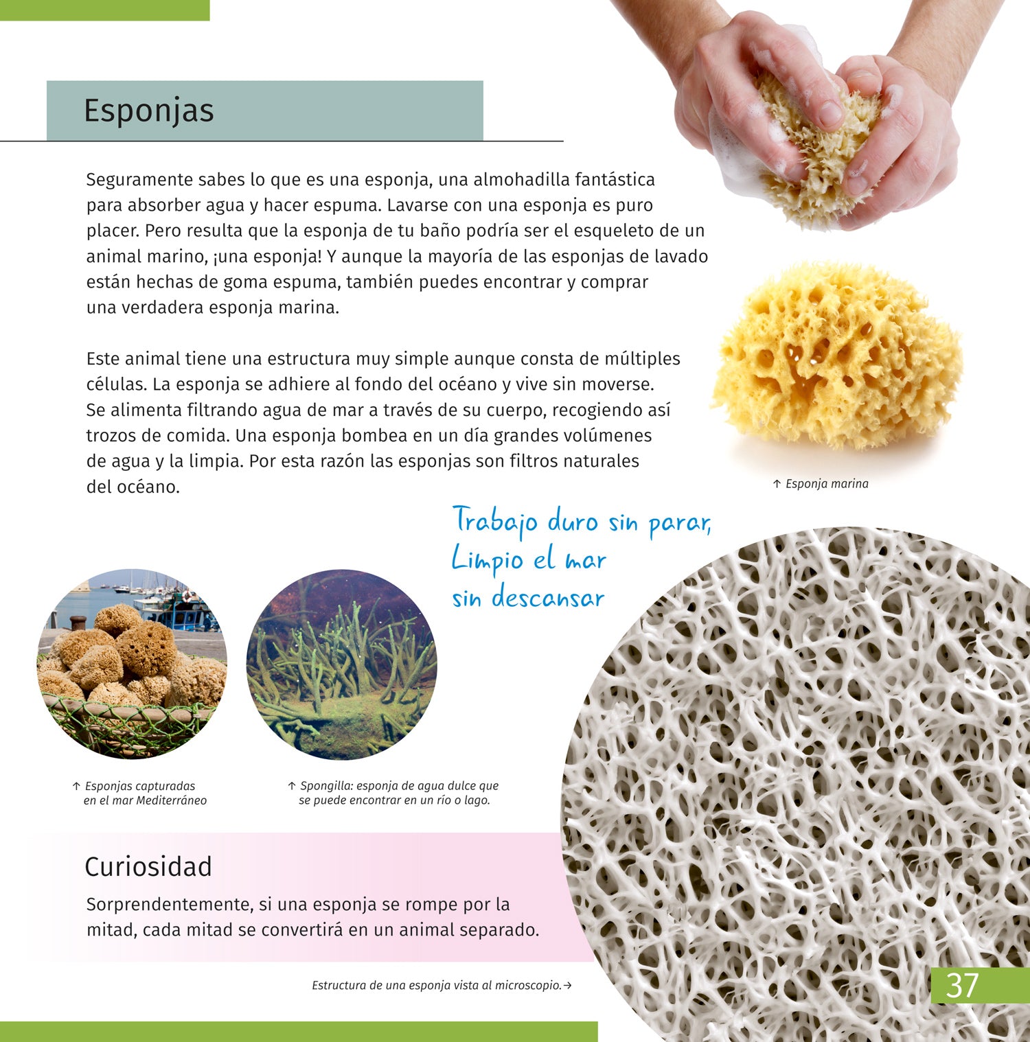 Spazio. Microcosmo. Libro educativo in 2 volumi