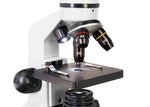 Microscopio digitale Levenhuk Rainbow D2L 0.3M, moonstone