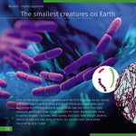 Mondo invisibile. Libro educativo. Copertina rigida