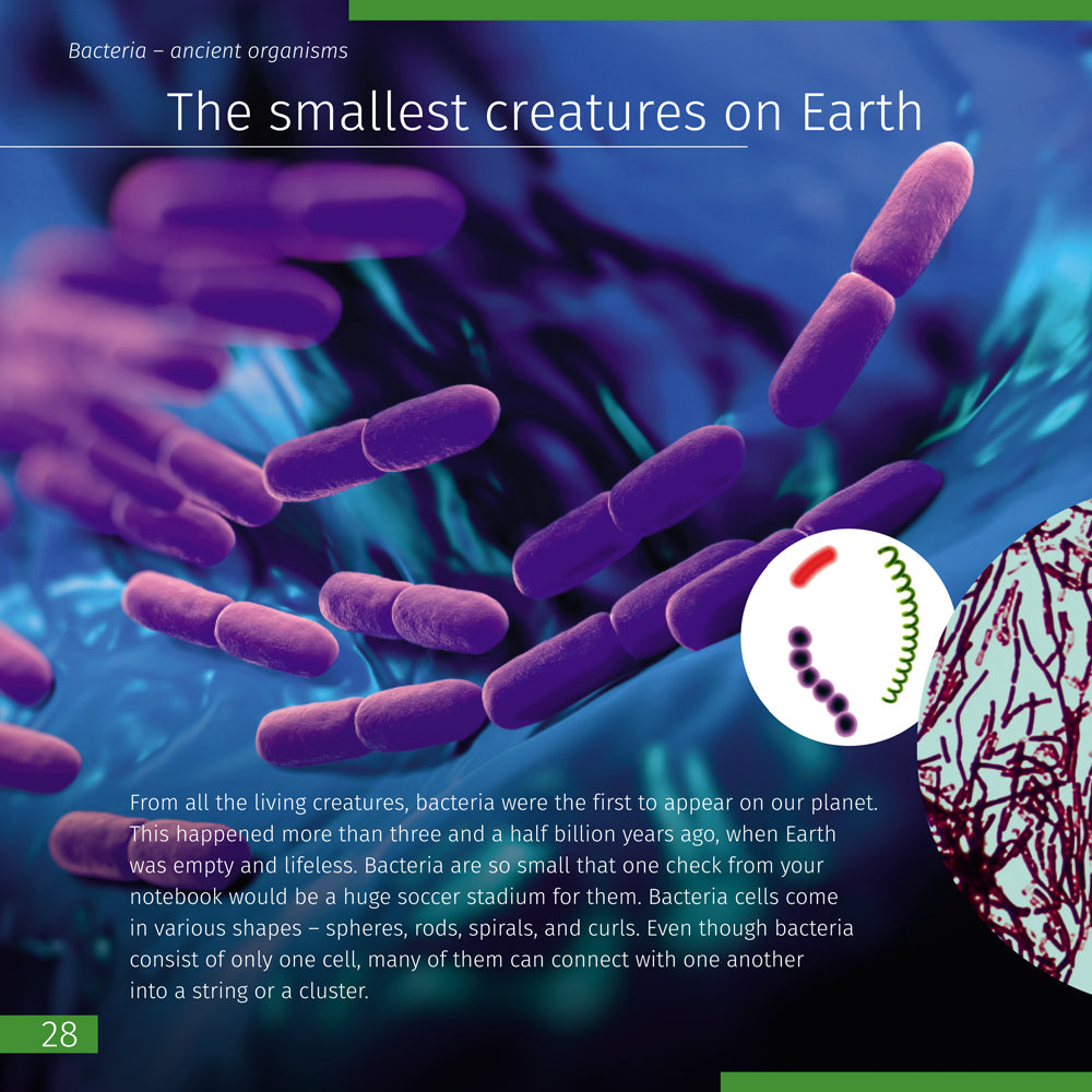 Mondo invisibile. Libro educativo. Copertina rigida