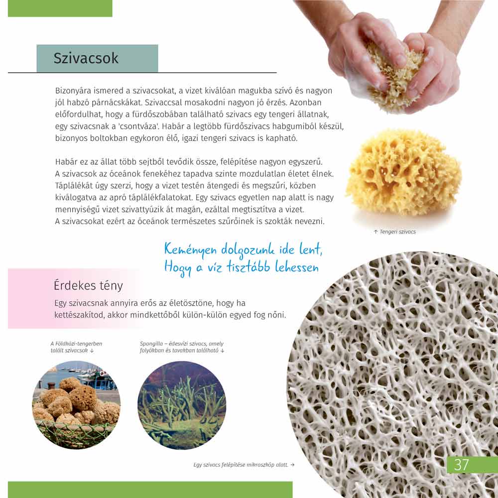 Spazio. Microcosmo. Libro educativo in 2 volumi, copertina rigida